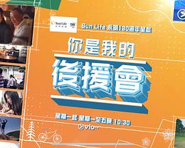 你是我的后援会粤语